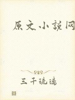 原文小说网