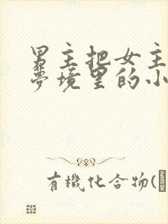 男主把女主拖进梦境里的小说