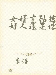 女婿有劲枪枪是好人还是坏人