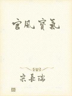 官风宝气封面