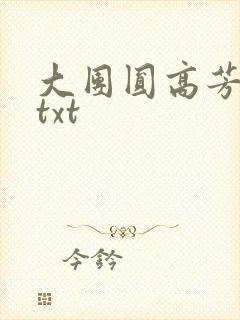 大团圆高芳小说txt