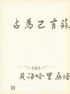 占为己有苏静初封面