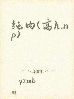 纯肉(高h.np)