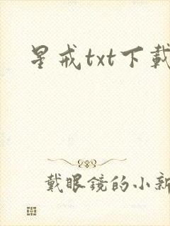 星戒txt下载封面