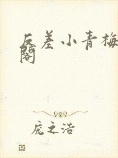 反差小青梅笔趣阁封面