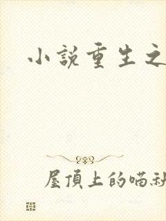 小说重生之官道