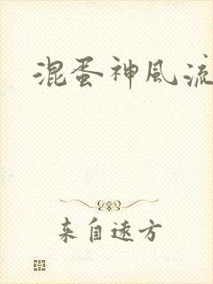 混蛋神风流