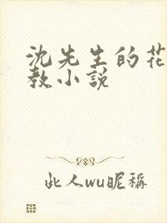 沈先生的花式管教小说