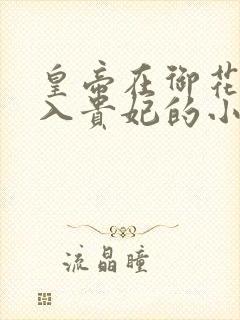 皇帝在御花园进入贵妃的小说封面