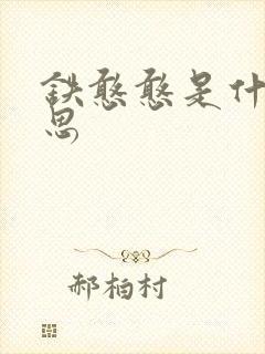 铁憨憨是什么意思封面