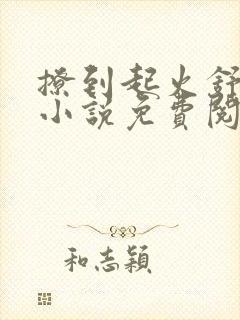 撩到起火舒漾的小说免费阅读全文