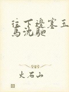 往下边塞玉器骑马沈驰封面