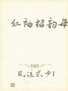 红袖招韵母攻略