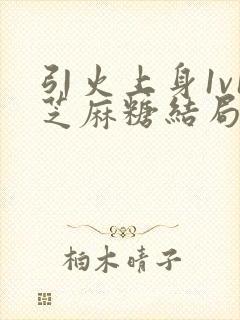 引火上身1v1芝麻糖结局