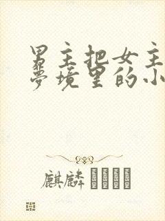 男主把女主拖进梦境里的小说