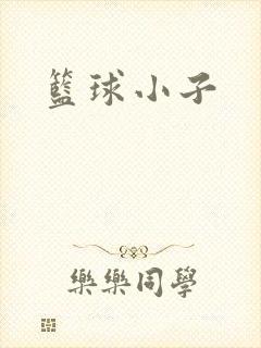 篮球小子