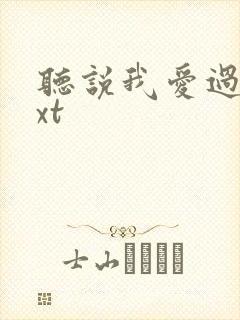 听说我爱过你txt