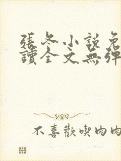 张冬小说免费阅读全文无弹窗封面