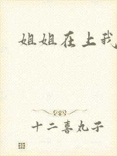 姐姐在上我在下