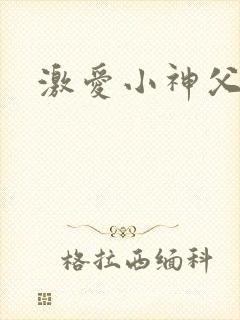 激爱小神父
