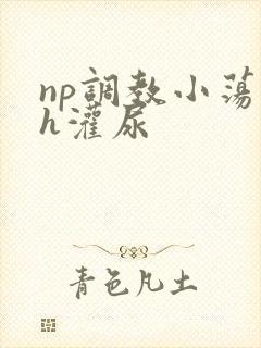 np调教小荡货h灌尿