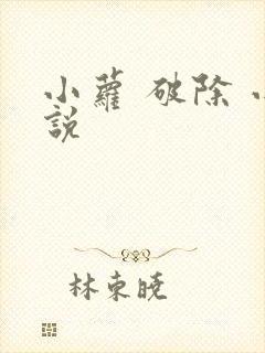 小萝 破除 小说封面
