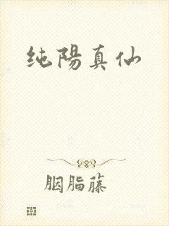 纯阳真仙