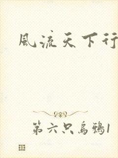 风流天下行封面