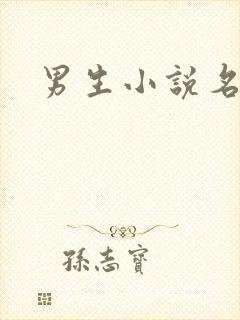 男生小说名字封面