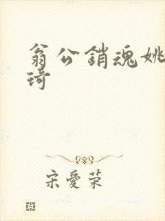 翁公销魂姚瑶琦琦封面