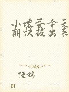 小坏蛋今天危险期快拔出来