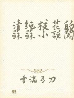 清纯校花的日常苏苏小说阅读全文