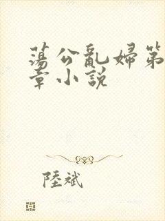 荡公乱妇第51章小说