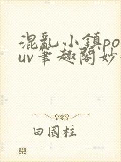 混乱小镇popuv笔趣阁妙妙