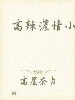 高辣浓情小说