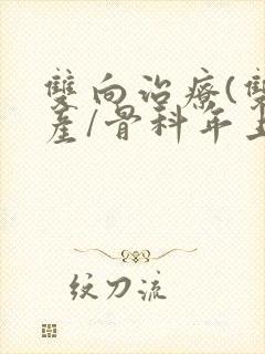 双向治疗(双/产/骨科年上)