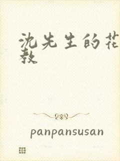 沈先生的花式管教