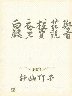 白衣校花与大长腿免费观看电视剧