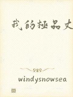 我的极品丈母娘封面