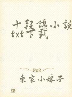 十段锦小说全本txt下载