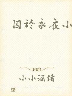 囚于永夜小说封面