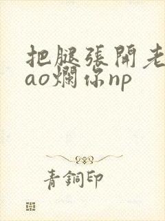 把腿张开老子cao烂你np