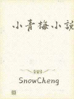 小青梅小说