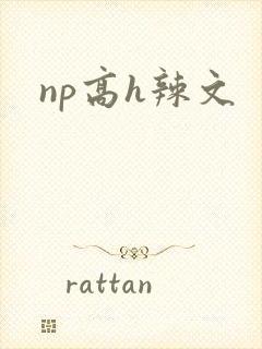 np高h辣文