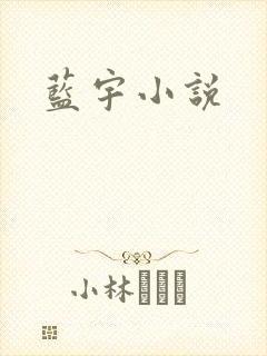 蓝宇小说