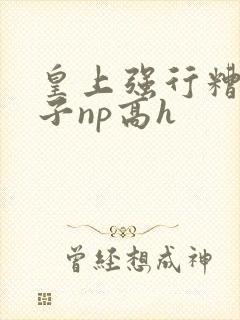 皇上强行糟蹋太子np高h