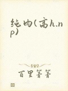 纯肉(高h.np)
