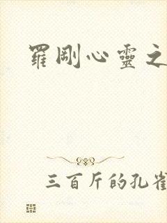 罗刚心灵之约封面