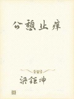 公憩止痒封面