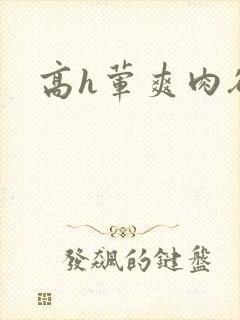 高h荤爽肉欲文